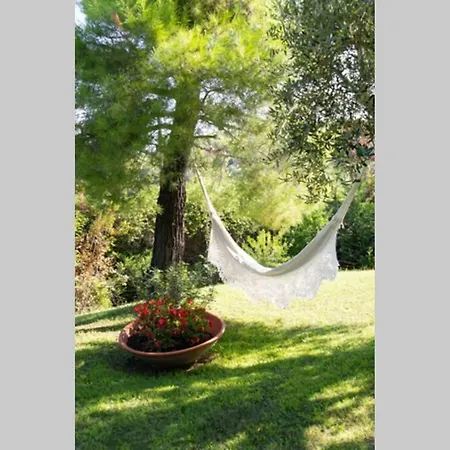 Villa Olivia Sani With Shared Pool Sani (Chalkidiki)